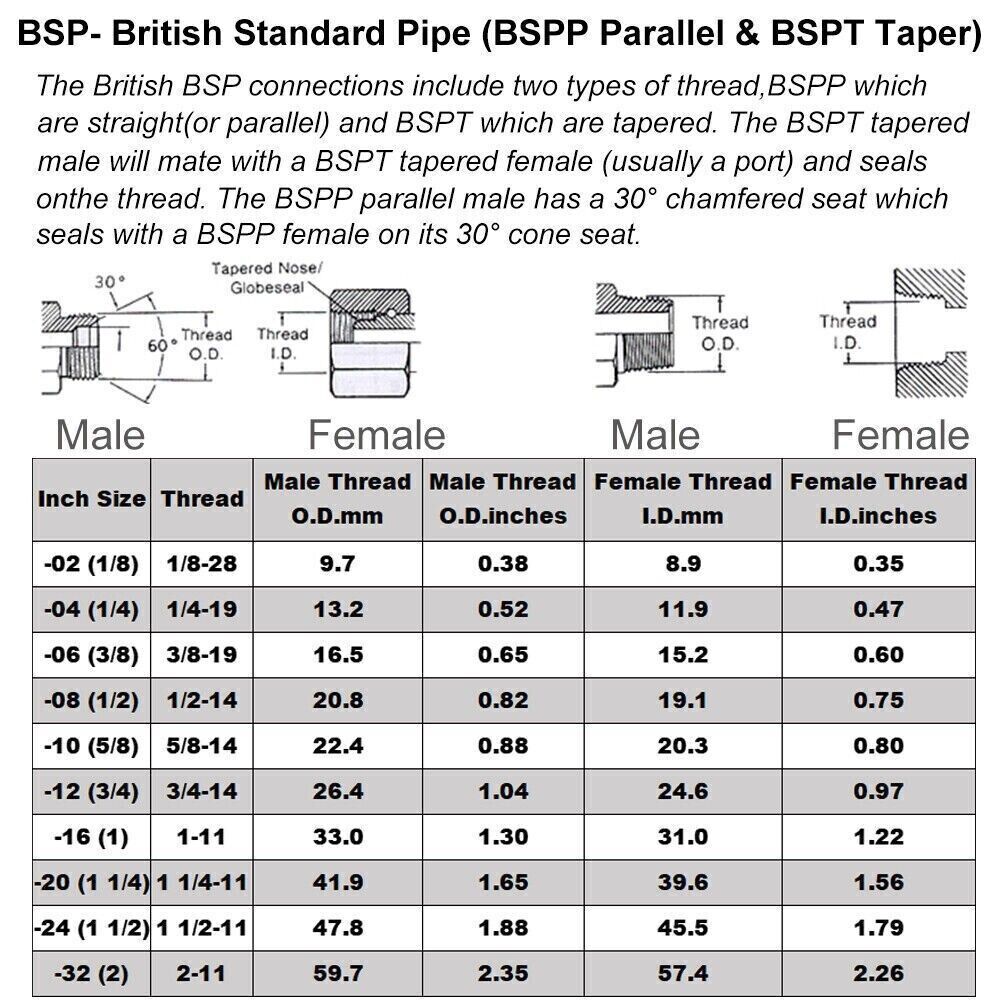 Premium 304 Stainless Steel Sockets & Brass Reducing Adapters – BSP Threaded Connectors